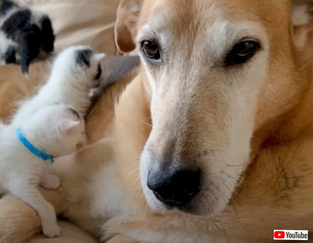 20230503_163354_batch