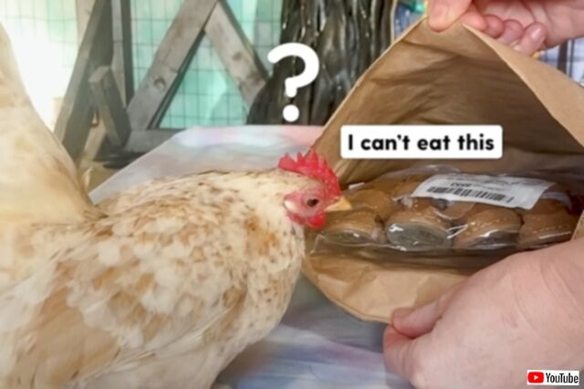 20230513_145013 (6)_batch