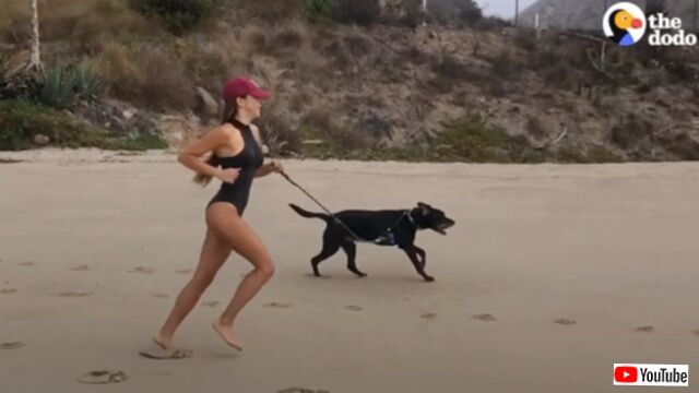 どこまでも一緒に走って行こう！シェルターの狭い檻の中で4年間過ごした犬、外の世界で思い切り走る喜びと出会う