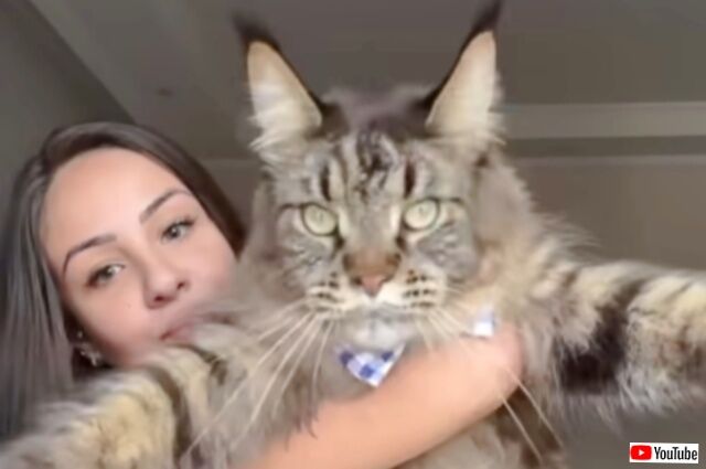 20230928_055158 (2)_batch