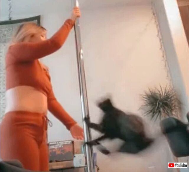 poledance2_640