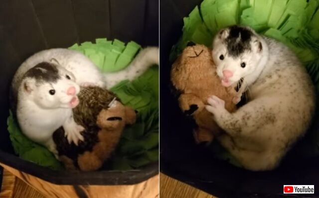 20220412_083930 (13)_batch