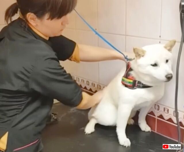 20230320_114354_batch