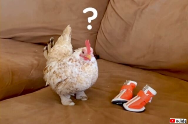 20230513_145013 (4)_batch