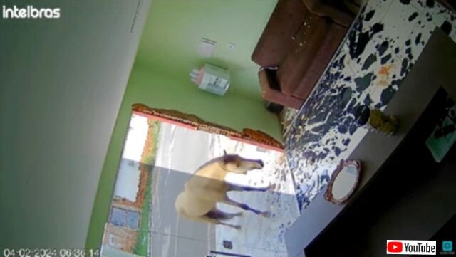20240214_061023 (7)_batch