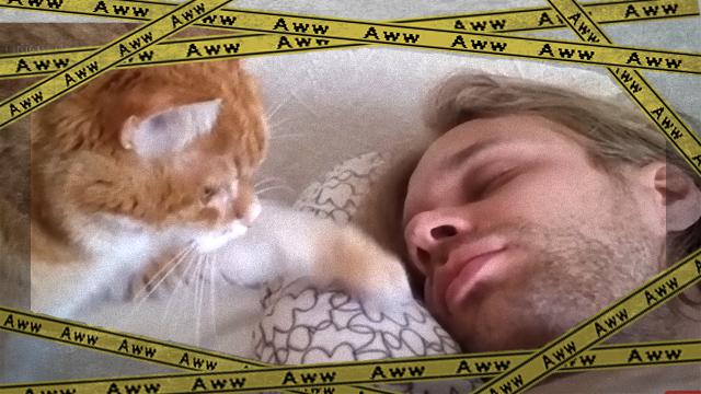 wakeup-1_e-frame