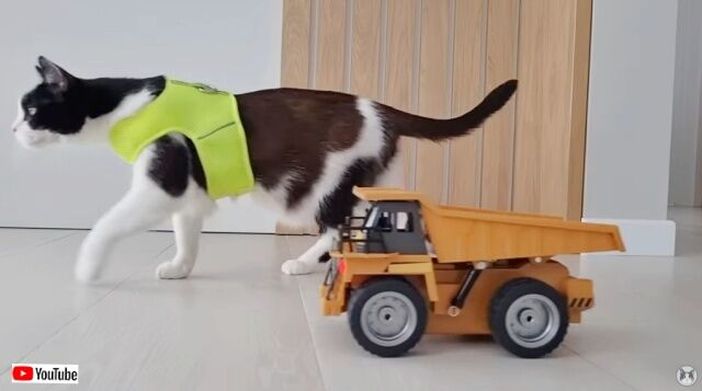 20230401_110530 (7)_batch