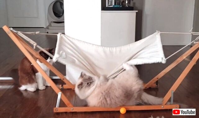 hammock5_640