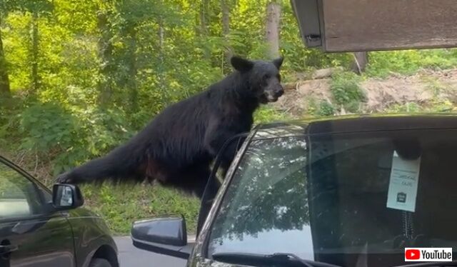 20220616_113234 (4)_batch