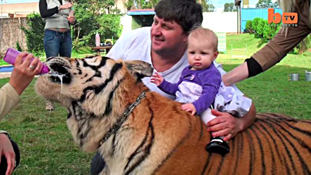 pettiger1