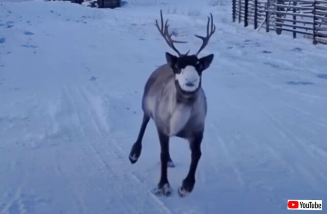 20231210_001729 (3)_batch