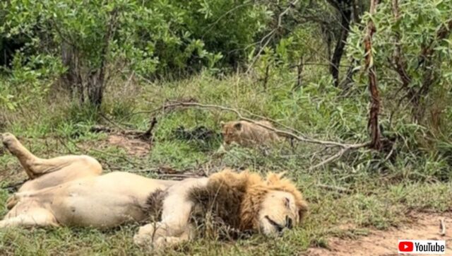 20231209_074031 (2)_batch