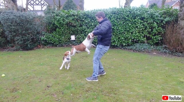 20230227_195229 (3)_batch