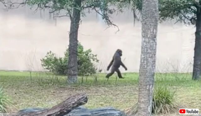 20230523_113530 (4)_batch