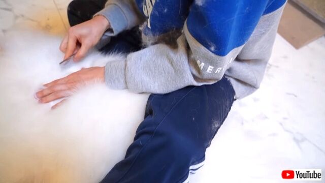 cleaning1_640