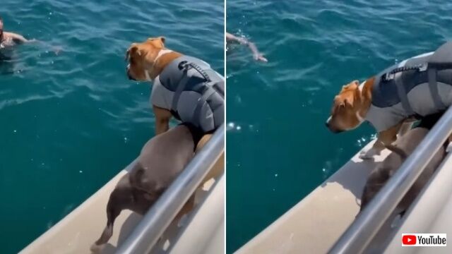 20220716_080407 (2)_batch