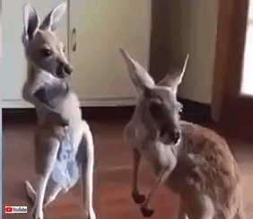 cutebabiiesvids4