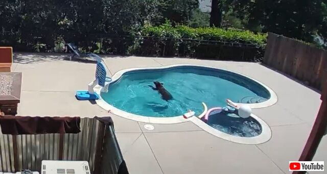 20220809_040442 (4)_batch