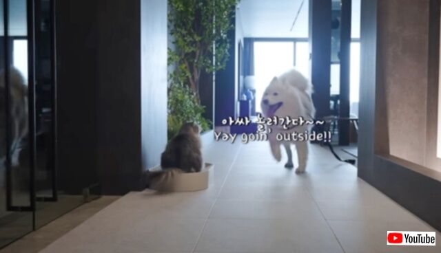 20240210_184614_batch