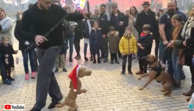 20230726_080408 (6)_batch