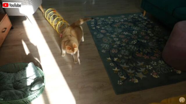 20230910_180233 (3)_batch