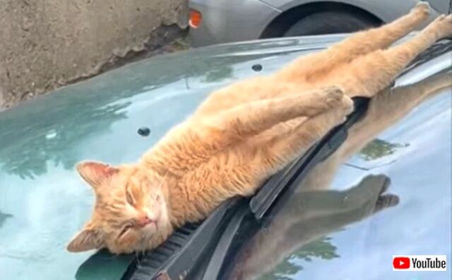 sunbathing3_640