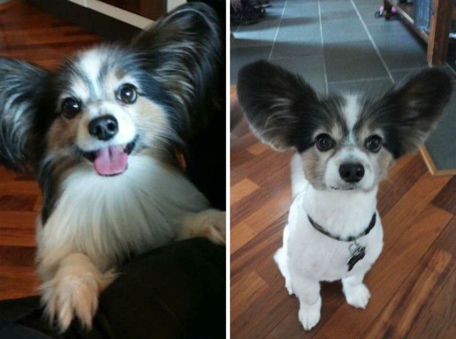 beforeafter11_e