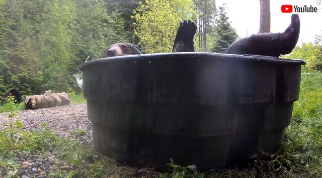 splashybath2_640
