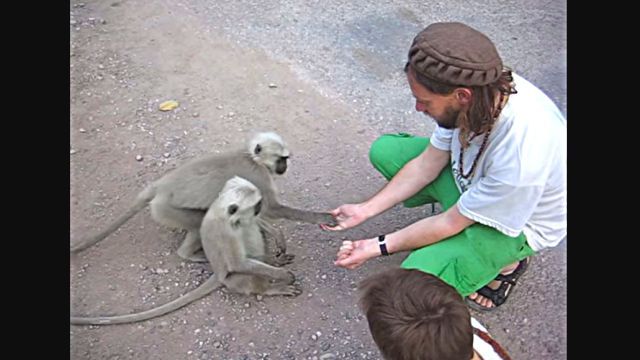 langur0