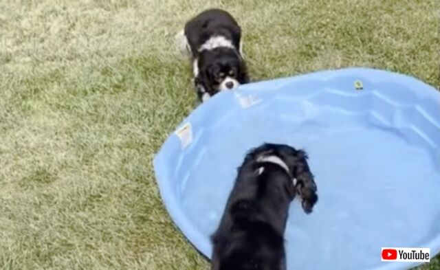 20230814_023246 (3)_batch