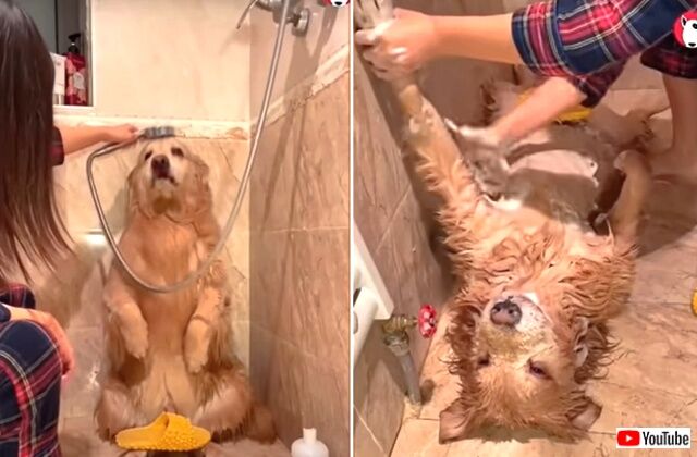 bathtime8_640