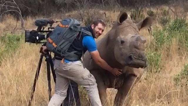 rhino-2_e