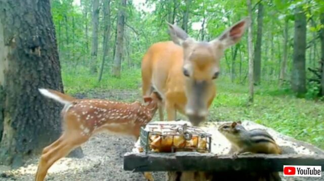 20240114_070336 (5)_batch