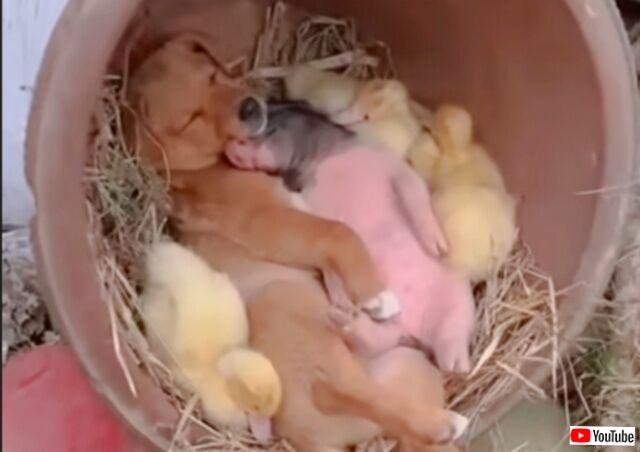 20231229_233204 (4)_batch