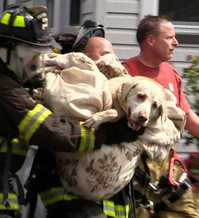 firefighters_know_that_each_and_every_life_matters_640_11_e