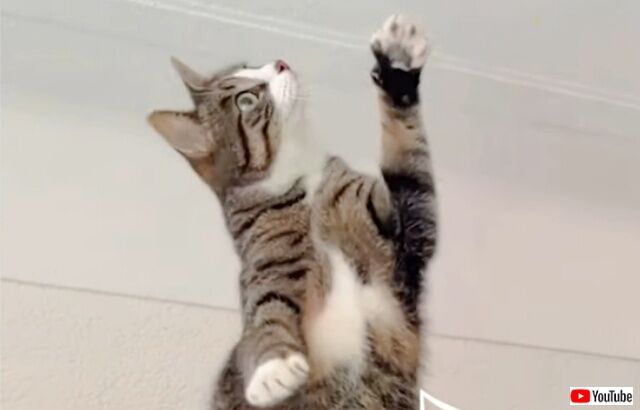 20221009_055536_batch