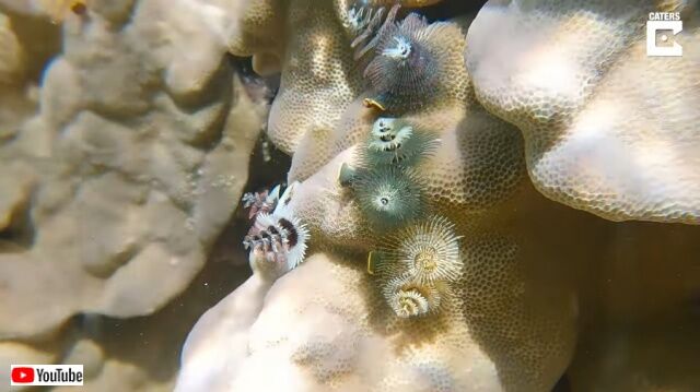 20220405_112824 (6)_batch