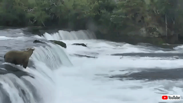 brooksfalls