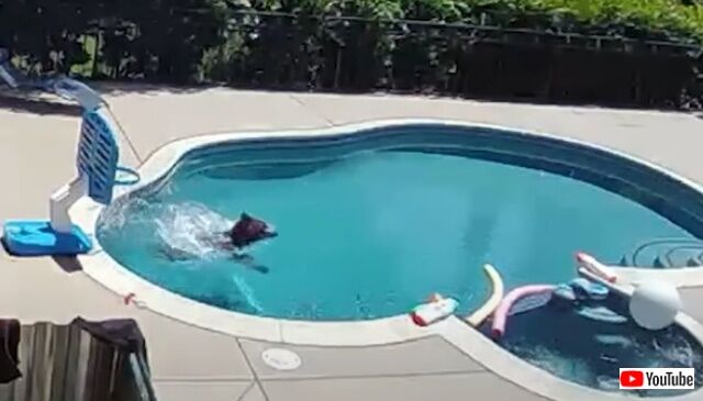 20220809_040442 (5)_batch