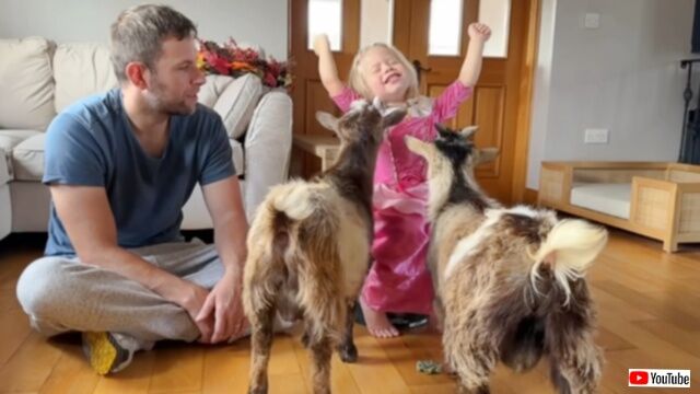 マラミュートと猫とそして山羊？自然と生き物たちに囲まれて暮らす、素敵なイギリスのカントリーライフ
