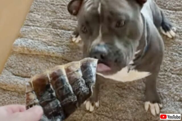 20231108_085614 (5)_batch