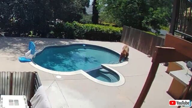 20220809_040442_batch