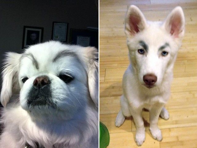eyebrows9_e