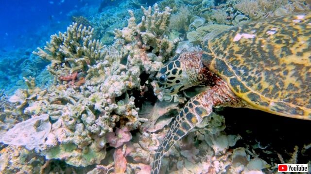 20221211_024215 (9)_batch
