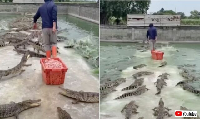 20231109_075435_batch