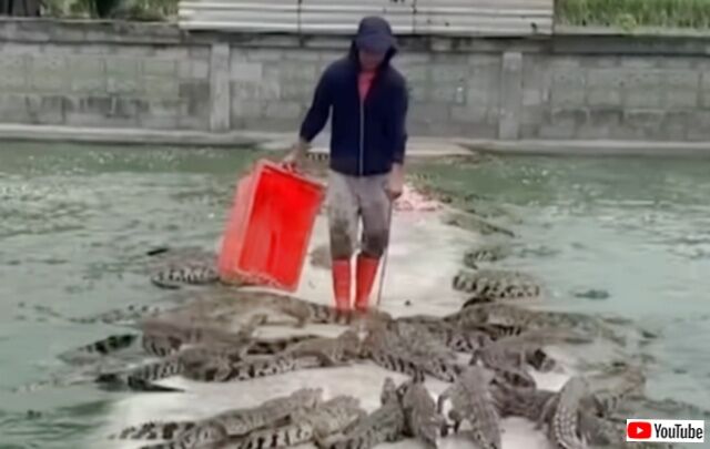 20231109_075432 (4)_batch