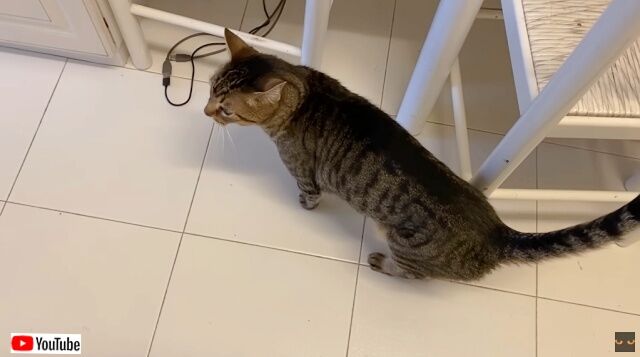 20230414_175243 (3)_batch