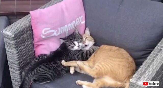 20221009_055536 (6)_batch