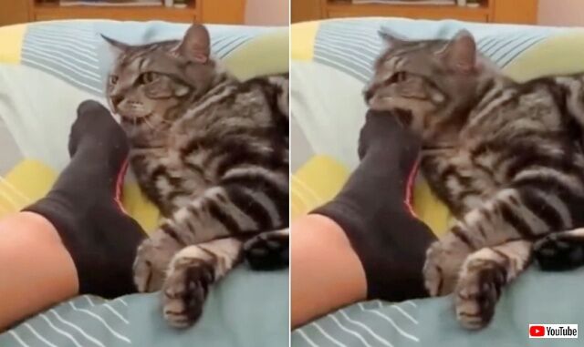 20221127_075539 (2)_batch