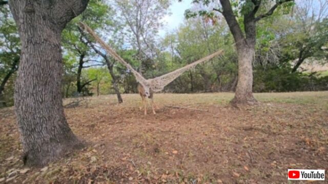 20231025_221758_batch